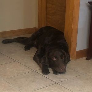 Meet your Posher, Dylan